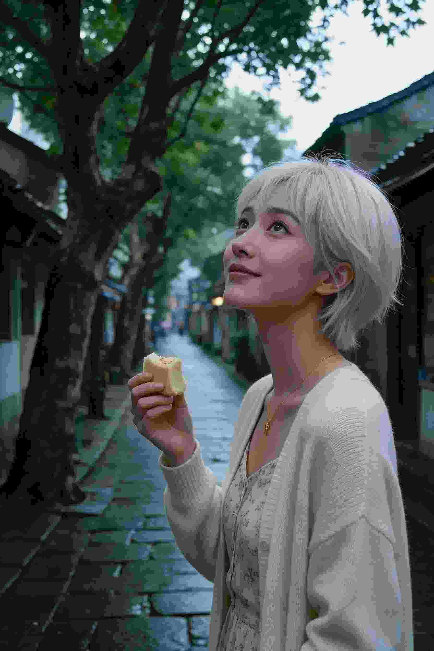 龙之秘密